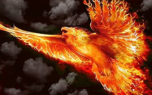 DER FEUERVOGEL DER FEUERVOGEL