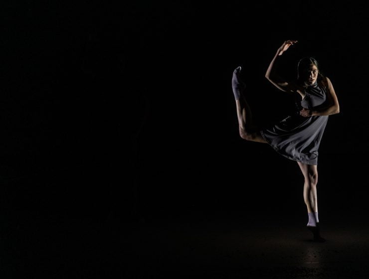 Haydn en de vandalen Haydn