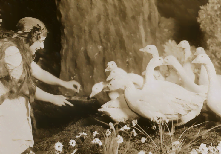 Königskinder bij DNO. Recht in de roos. Köniskinder