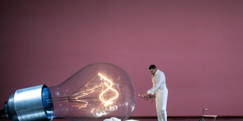 Fidelio ofwel Life with an Idiot