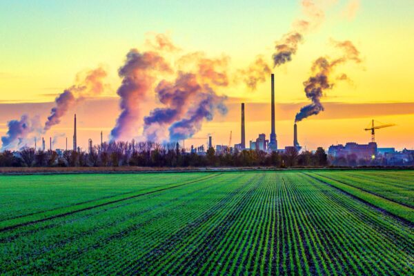 DNO "Giftige ideologie inzake kunst" DNO